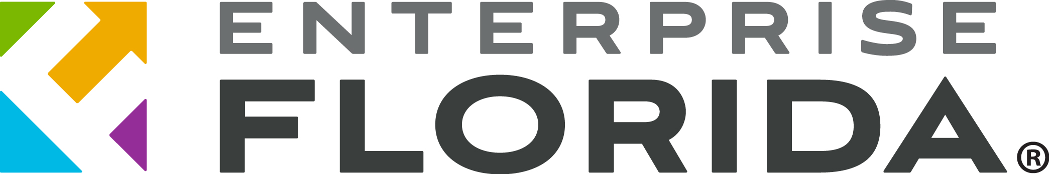 Enterprise Florida (EFI) Logo
